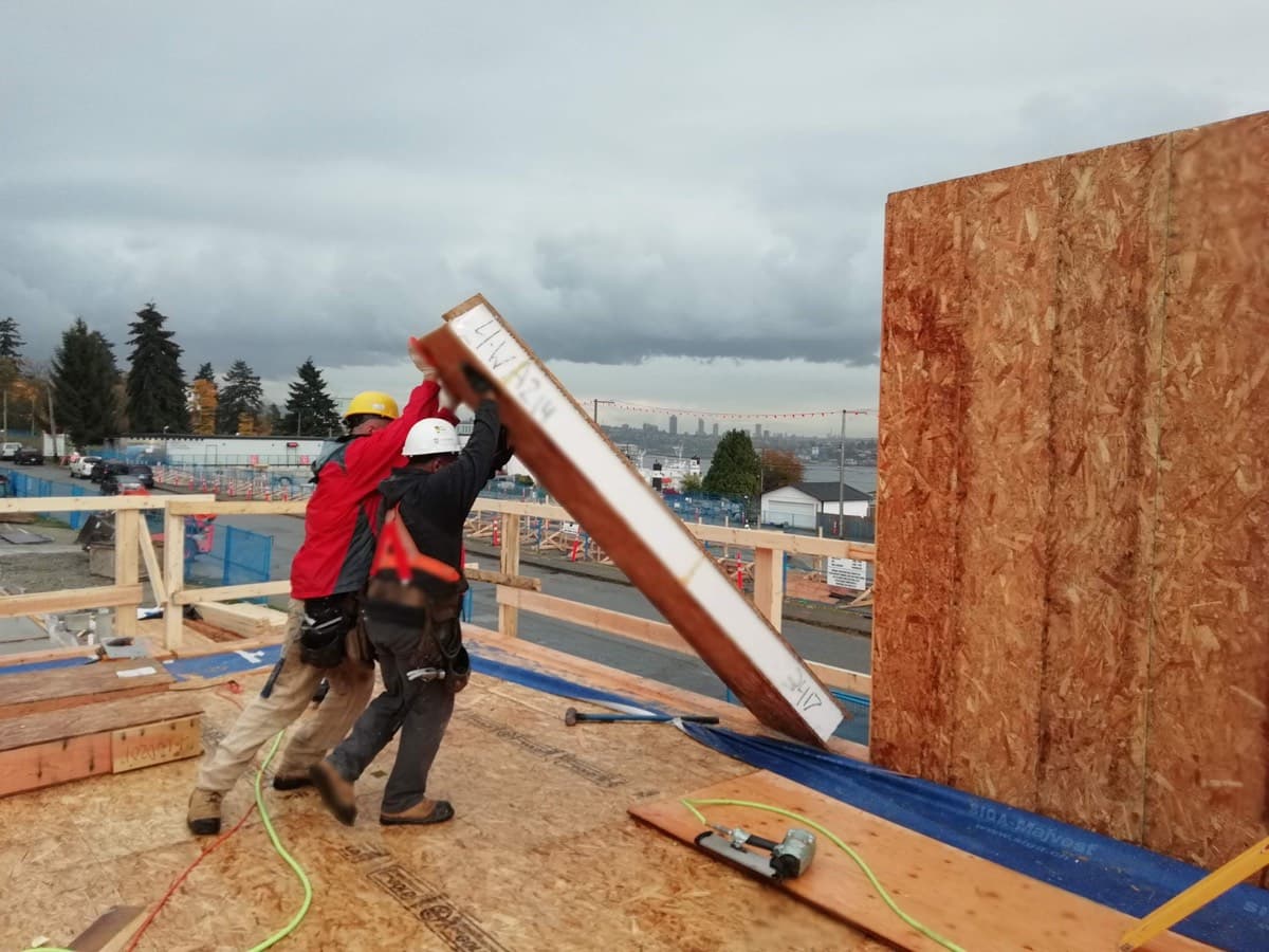 SIP panel wall installation by Harewood Construction